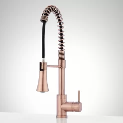 Steyn Kitchen Faucet With Spring Spout