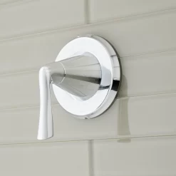 Provincetown In-Wall Shower Volume Control