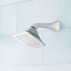 Vilamonte Shower Head And Arm 11 Vilamonte Shower Head And Arm -Home-Bathroom 449198 vilamonte shower head and arm BN Beauty10