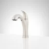 Cypress Single-Hole Pull-Out Kitchen Faucet
