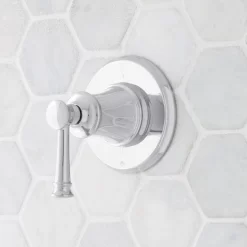 Beasley In-Wall Shower Diverter
