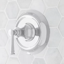 Beasley Pressure Balance Shower Valve