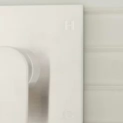 Hibiscus Pressure Balance Shower Valve -Home-Bathroom 449805 hibiscus PB trim BN MV60 scaled