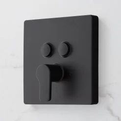 Hibiscus Simple Select 2-Way Pressure Balance Shower Valve 5 Hibiscus Simple Select 2-Way Pressure Balance Shower Valve -Home-Bathroom 450039 hibiscus simple select PB trim MB Beauty10