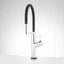 Fanning Filtration Kitchen Faucet