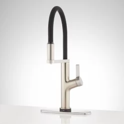 Fanning Filtration Kitchen Faucet 12 Fanning Filtration Kitchen Faucet -Home-Bathroom 453624 Fanning single hole filtration faucet SS front deckplate Beauty20 scaled