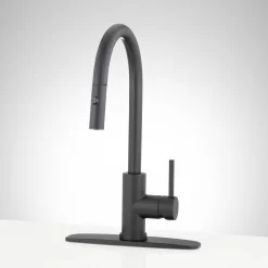 Ravenel Single-Hole Pull-Down Kitchen Faucet With Deck Plate