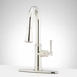 Beasley Single-Hole Pull-Down Kitchen Faucet With Deck Plate