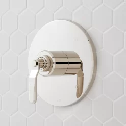 Gunther Pressure Balance Shower Valve Trim -Home-Bathroom 477076 gunther PB trim PN Beauty10 scaled