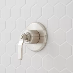 Gunther In-Wall Shower Diverter Trim