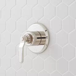 Gunther In-Wall Shower Diverter Trim -Home-Bathroom 477082 gunther diverter trim PN Beauty10 scaled