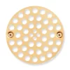 Modern Shower Drain Strainer