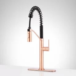 Eiler Single-Hole Kitchen Faucet With Pull-Down Spring Spout And Deck Plate -Home-Bathroom 484069 eiler kitchen faucet dp SC front Beauty10 scaled