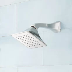 Vilamonte Shower Head And Arm